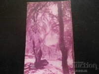 Carte poștală veche, 1935, Șumen