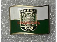 Кнежа