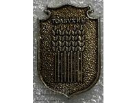 Τολμπούχιν