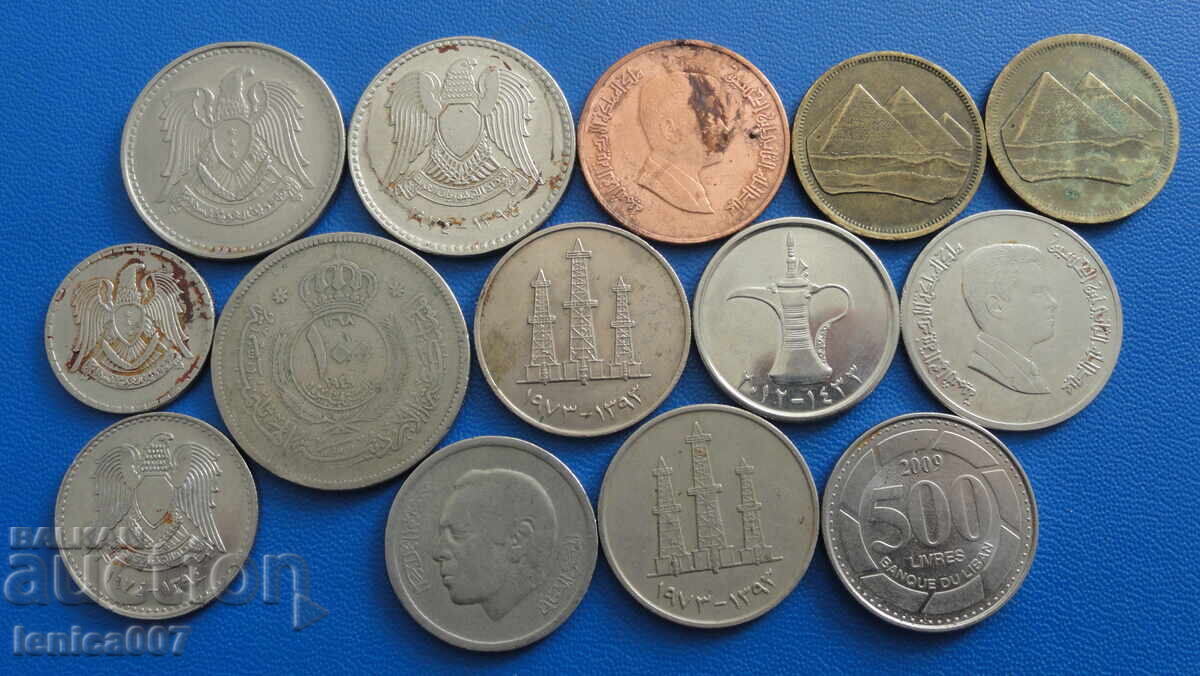Auction Arabic Coins (14 pieces) Auction Arabic Coins (14 pieces)