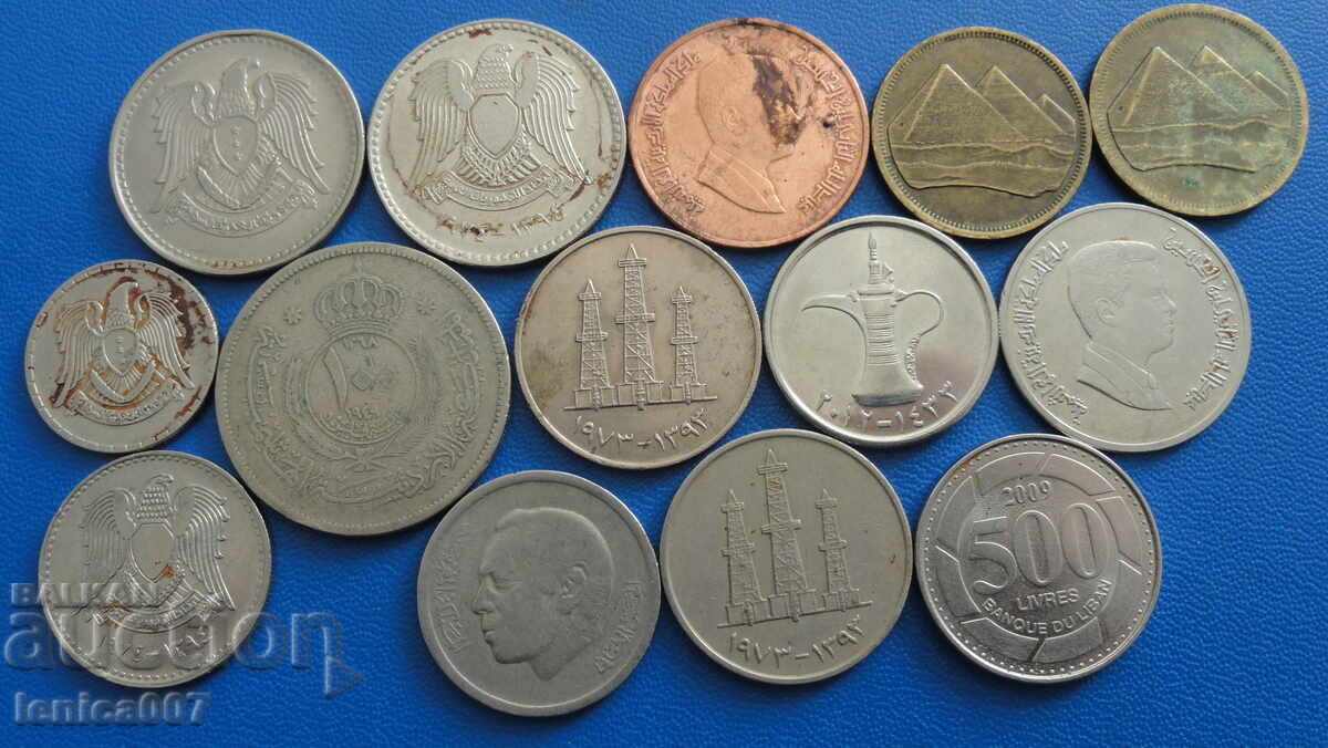 Arabic Coins (14 pieces) - 5 Arabic Coins (14 pieces) - 5