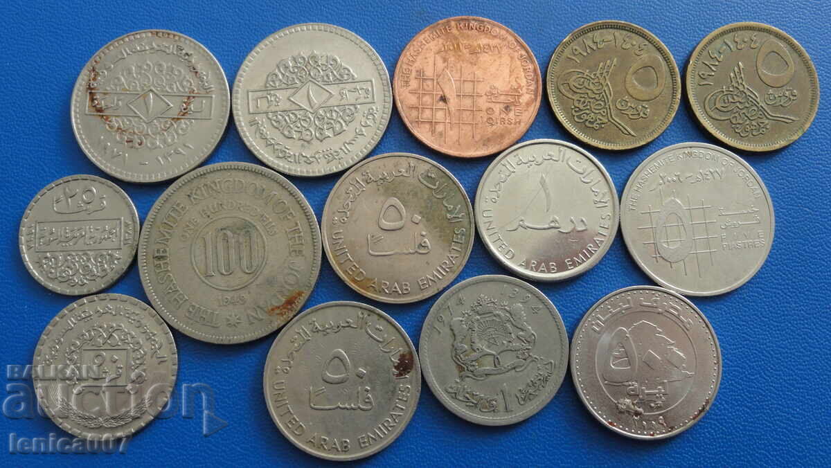 Arabic Coins (14 pieces) - 6 Arabic Coins (14 pieces) - 6