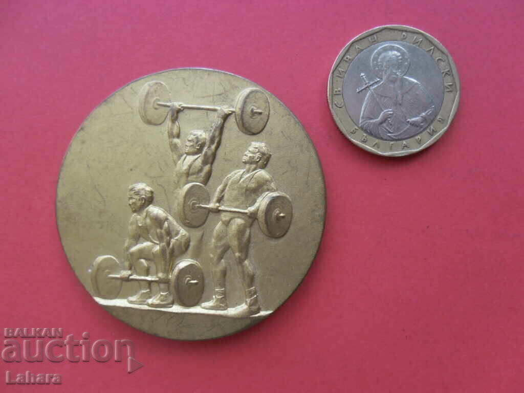 Licitație Plachetă cu gantere