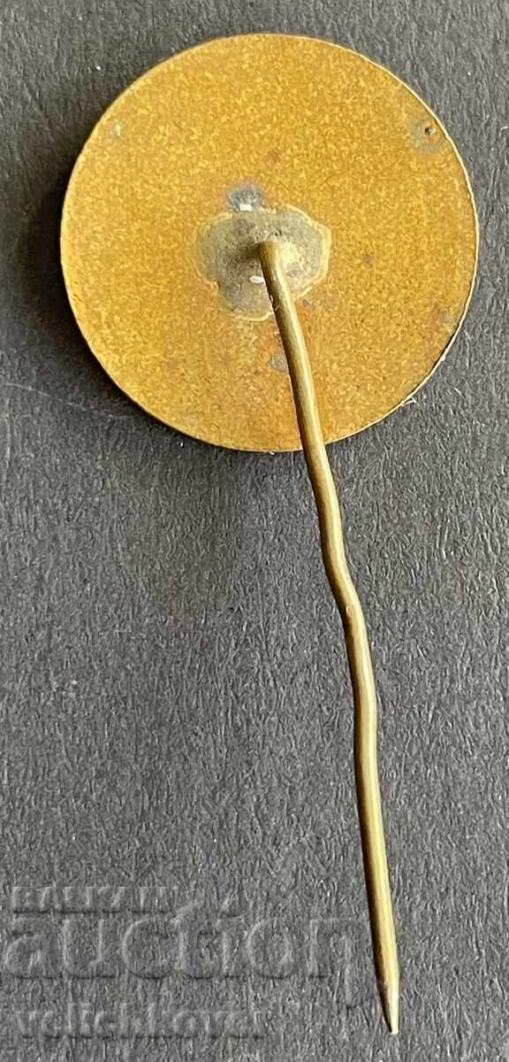 41823 Bulgaria Stamp BRP Bulgarian River Shipping Ruse Ships with price 8.00 BGN | € 4.09