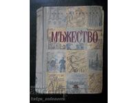 Vera Ketlinskaya "Courage" (antique)