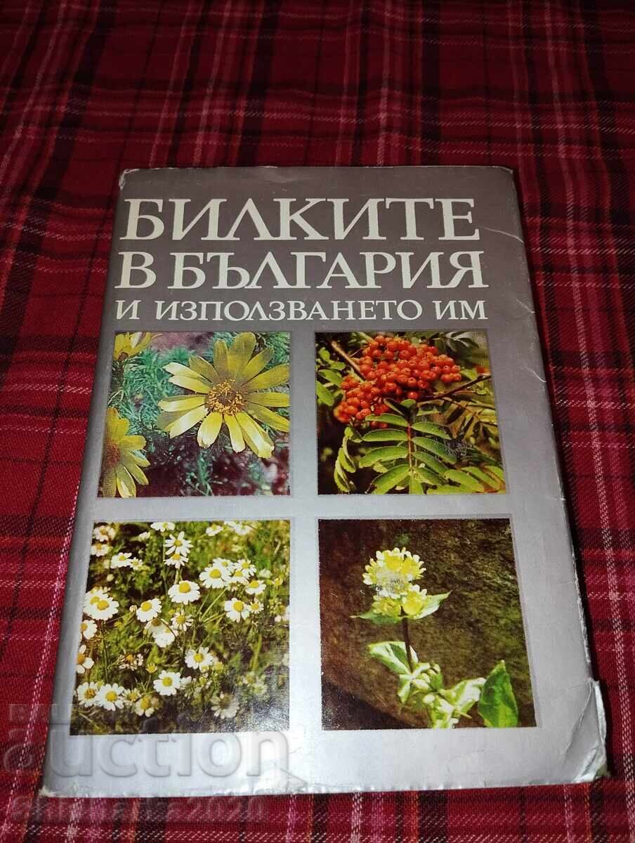 Herbs in Bulgaria and their use