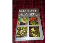 Ierburi în Bulgaria și utilizarea lor