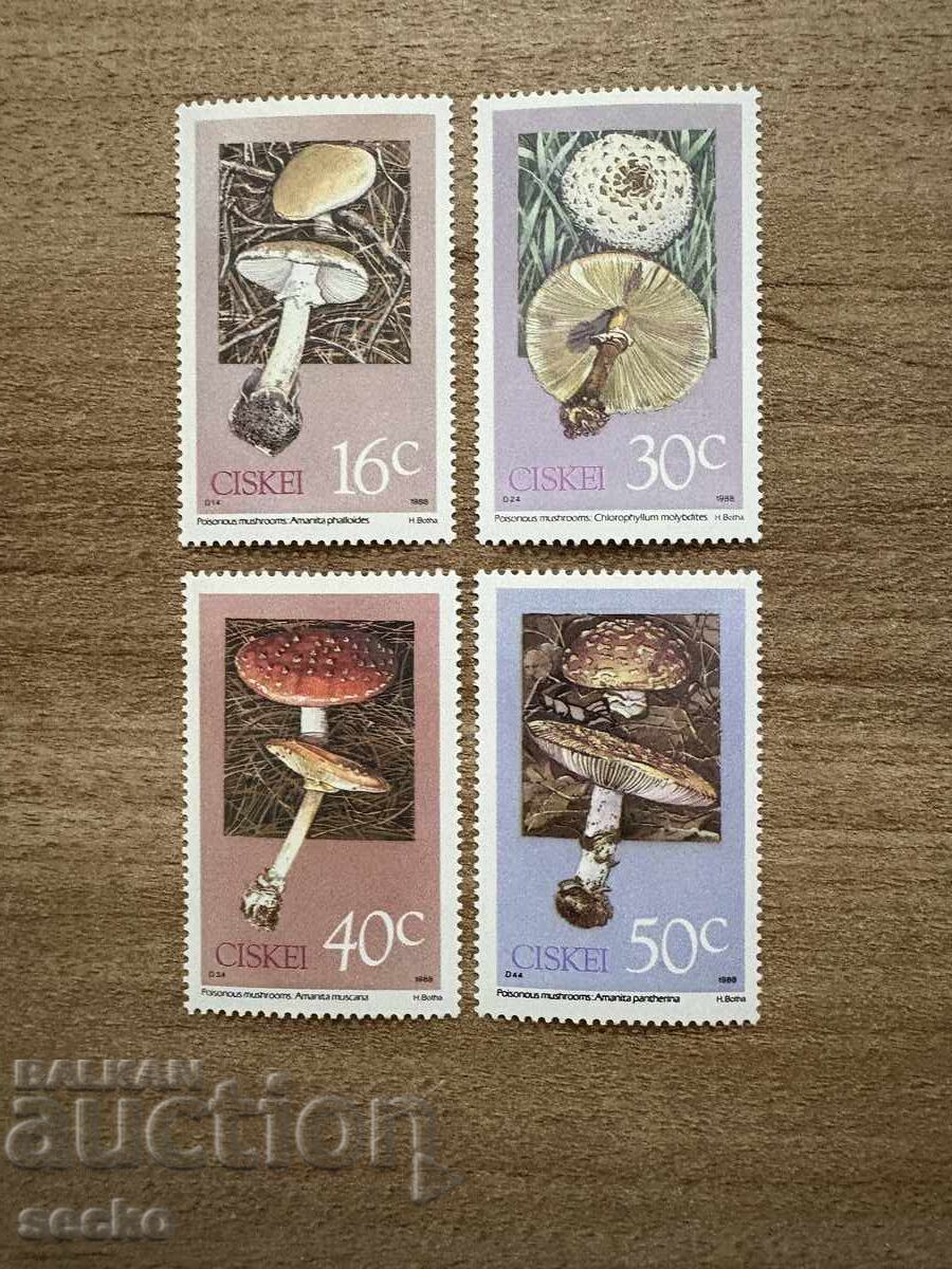 Ciskei - Poisonous Mushrooms (1988) MNH Ciskei - Poisonous Mushrooms (1988) MNH