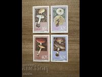 Ciskei - Ciuperci otrăvitoare (1988) MNH
