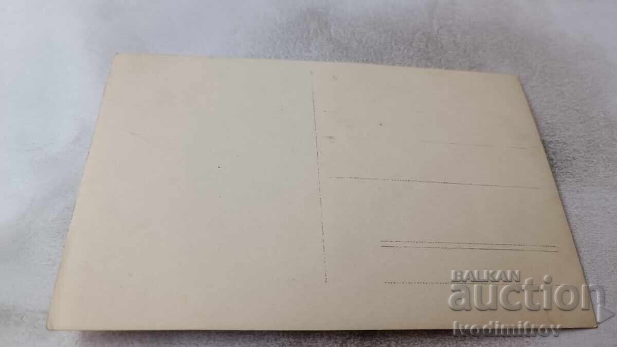 Fotografie Tineri și tinere în parc iarna cu preț 1.85 BGN | € 0.95