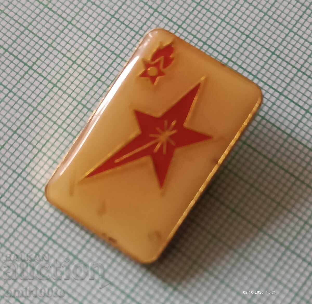 Аукцион Значка- ДПО Септемврийче