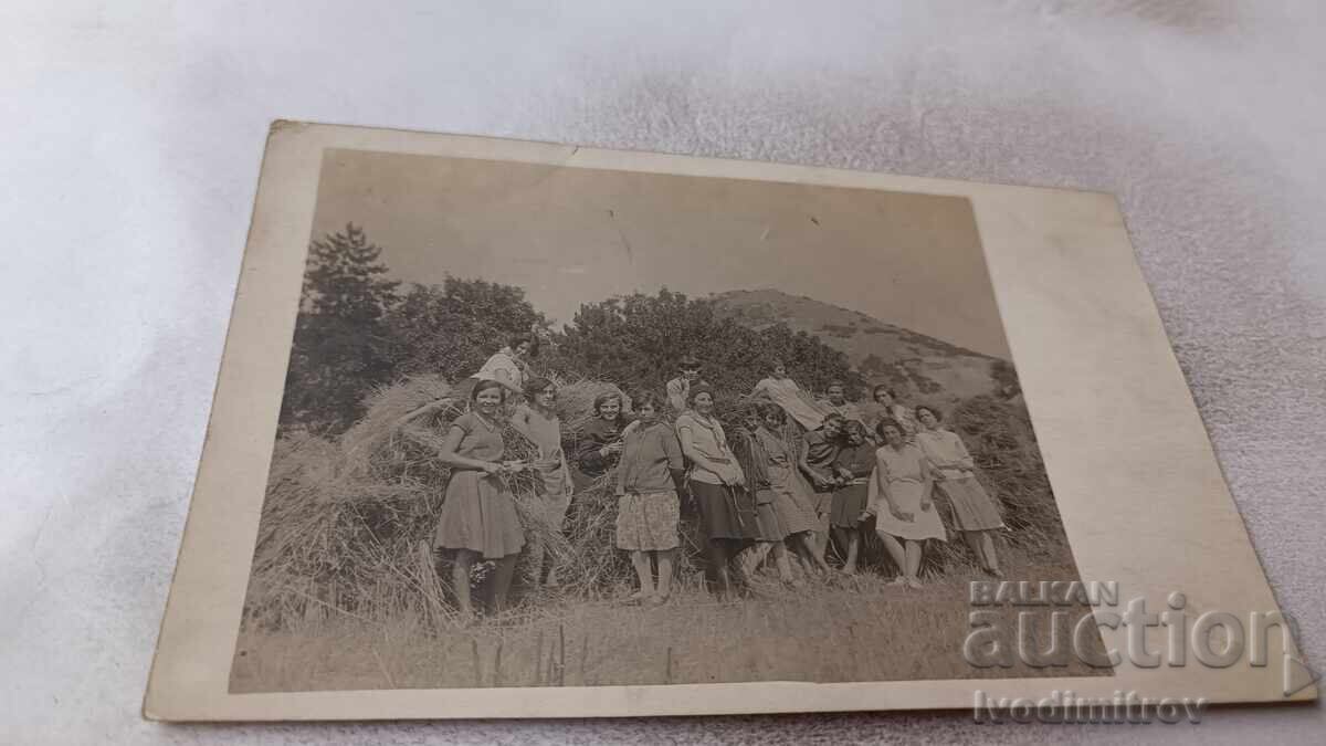 Φωτογραφία Μπερκόβιτσα Νεαρά κορίτσια δίπλα σε στοίβες σανού 1929