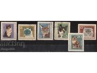 1967. Βουλγαρία. Γάτες.