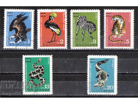 1968 Βουλγαρία. 80 γρ. Ζωολογικός κήπος στη Σόφια