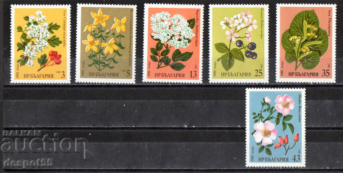 1981. Βουλγαρία. Φαρμακευτικά φυτά