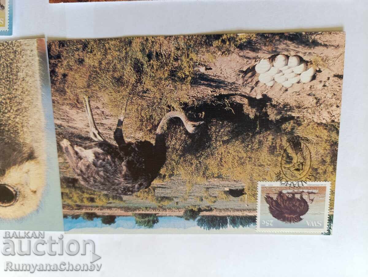 Cărți poștale Ziua Colecționarului Tematic 1989 cu preț 4.00 BGN | € 2.05