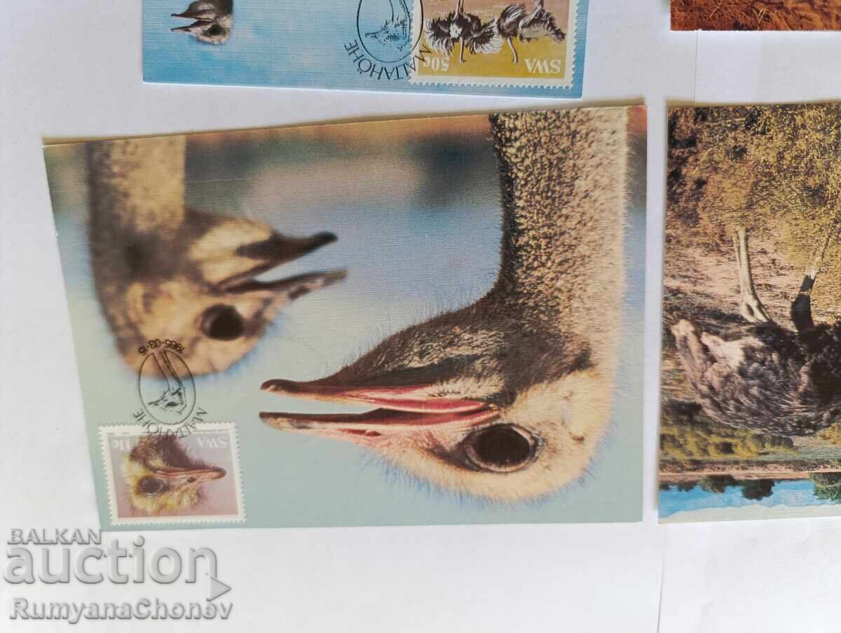 Licitație Cărți poștale Ziua Colecționarului Tematic 1989