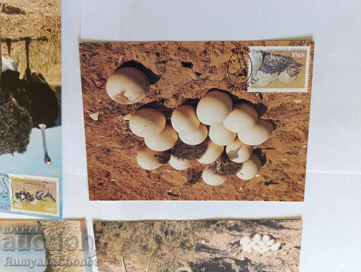 Livrarea Cărți poștale Ziua Colecționarului Tematic 1989