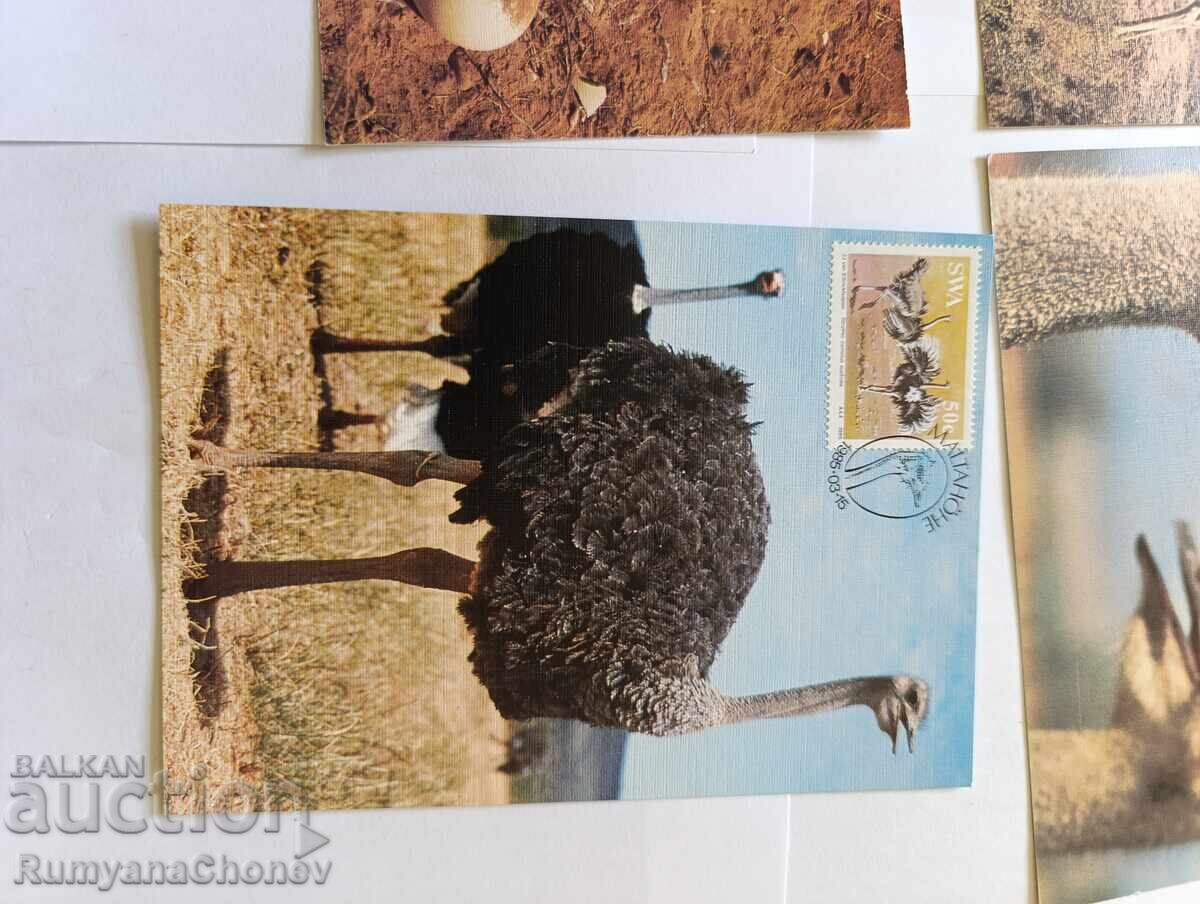 Cărți poștale Ziua Colecționarului Tematic 1989 - 5