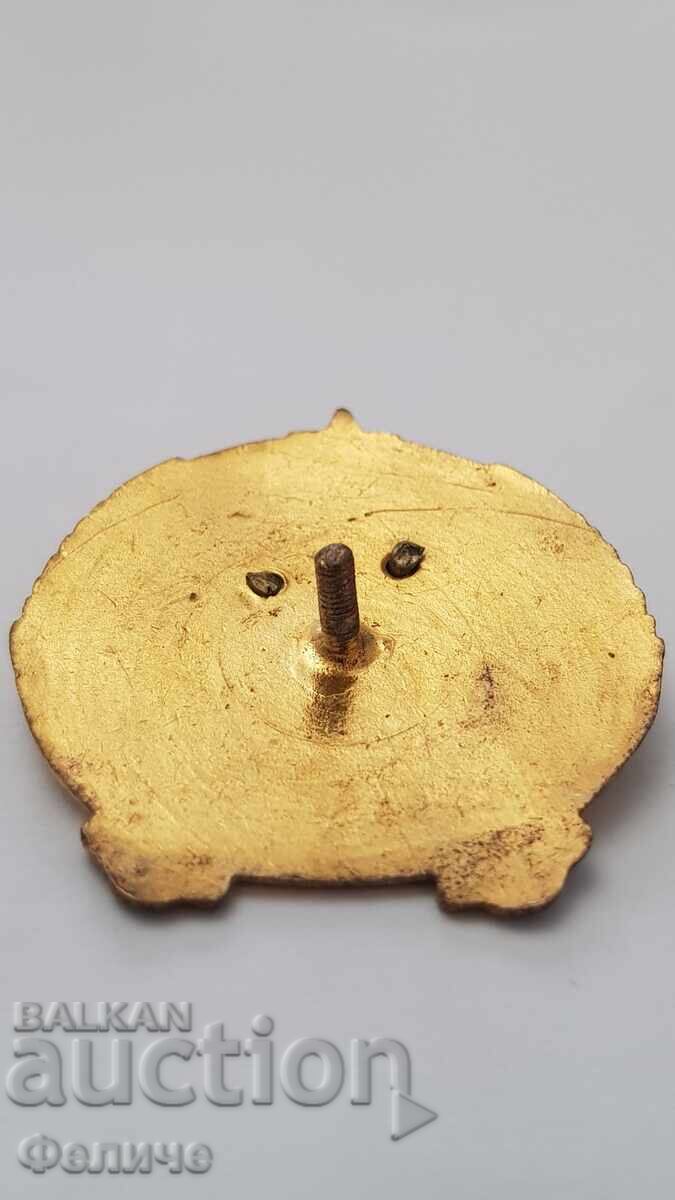 Доставка на Колекционен знак значка Българска Гражданска Авиация БГВТ