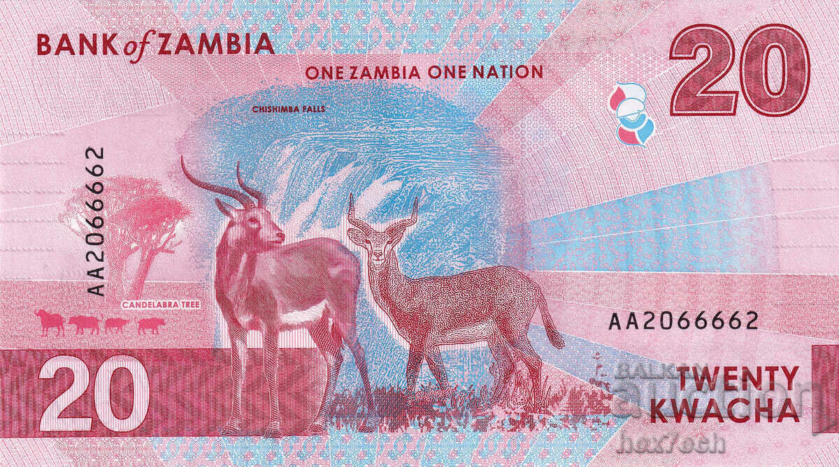 Auction  ❤️ ⭐ Zambia 2024 20 Kwacha UNC New ⭐ ❤️