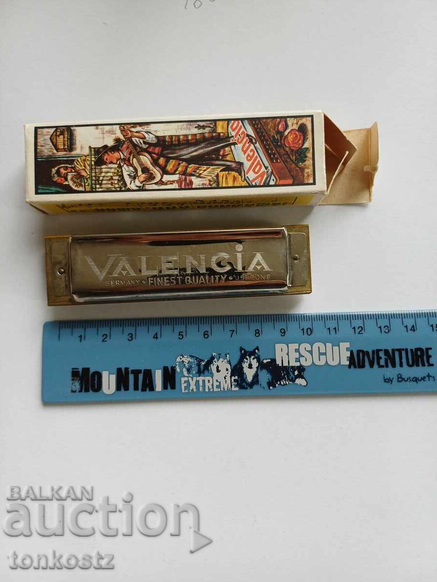 New Accordion in Box