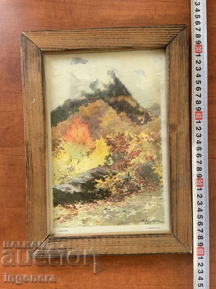 PAINTING PHOTO POSTER REPRODUCTION BY K. SHTURKELOV