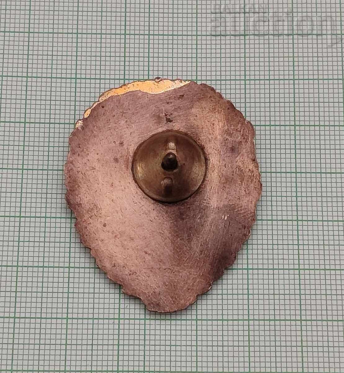 ОТЛИЧНИК ЖП ВОЙСКИ ЗНАК ЕМАЙЛ с цена 25.00 лв. | € 12.78