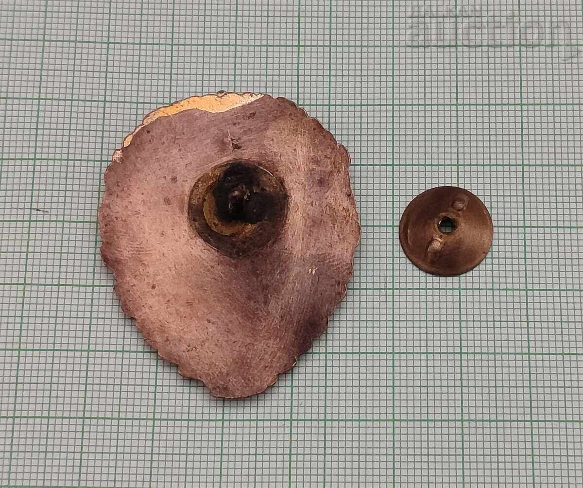 Аукцион ОТЛИЧНИК ЖП ВОЙСКИ ЗНАК ЕМАЙЛ