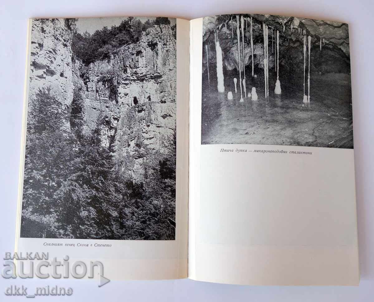 Licitație Munții Balcan - ghid turistic