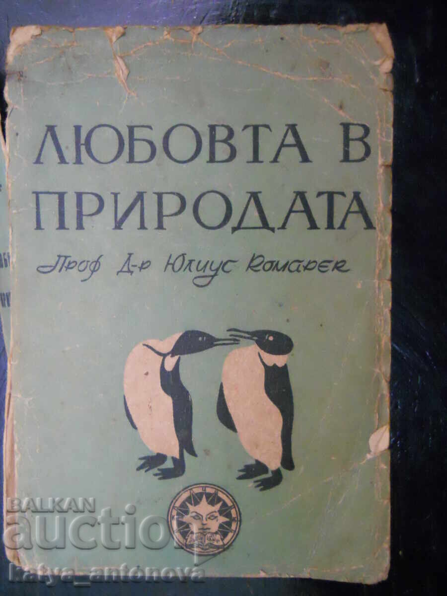 проф. Юлиус Комарек "Любовта в природата" (антикварна) проф. Юлиус Комарек "Любовта в природата" (антикварна)