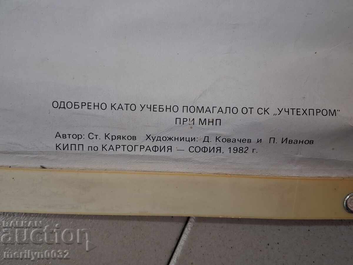 Παράδοση Ιατρικός πίνακας Αυτόνομο νευρικό σύστημα Uchtehprom NRB