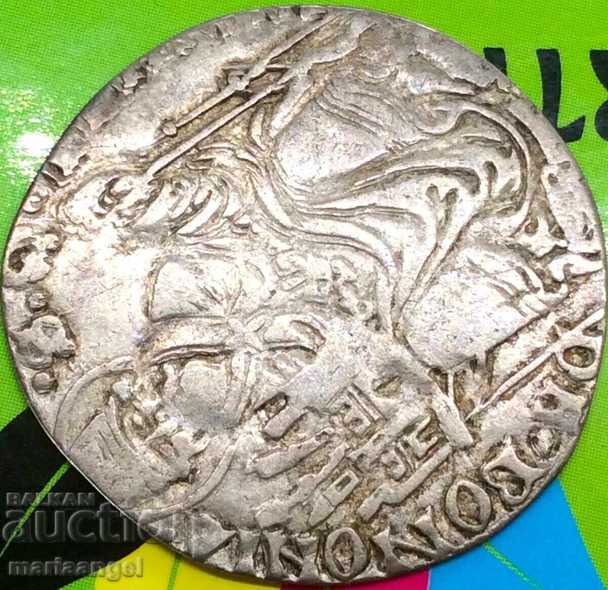 Livrarea Grossone - 2 orașul Grosso Bologna Bentivoglio Italia Bianca Leo