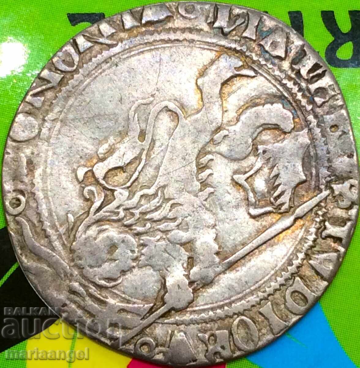 Grossone - 2 orașul Grosso Bologna Bentivoglio Italia Bianca Leo - 5