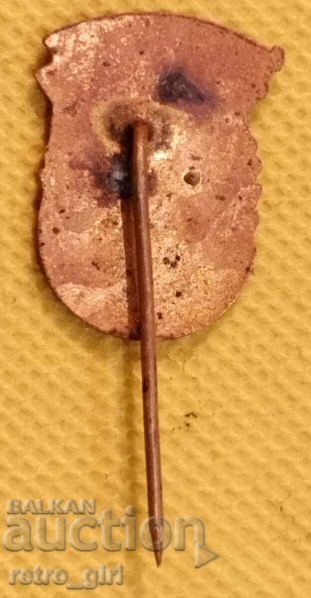 Breast badge, Bulgaria badge with price 14.90 BGN | € 7.62