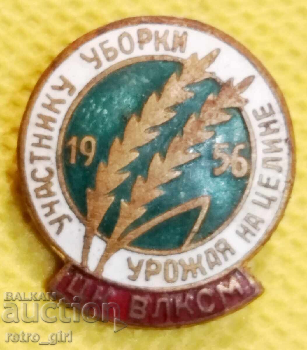 Σήμα στήθους, κονκάρδα Ρωσίας Σήμα στήθους, κονκάρδα Ρωσίας