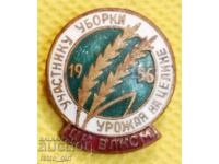 Σήμα στήθους, κονκάρδα Ρωσίας