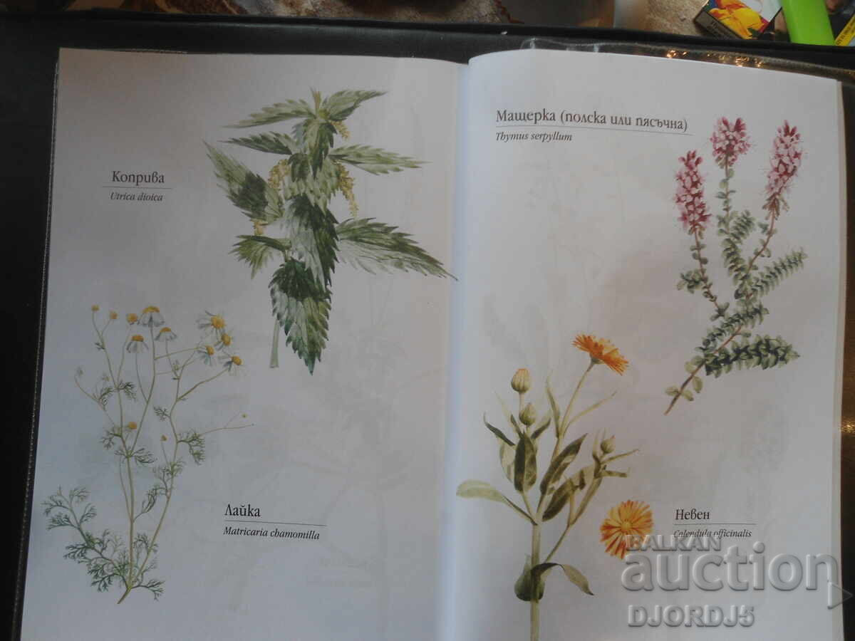 Здраве от аптеката на ГОСПОД, Мария Требен - 5 Здраве от аптеката на ГОСПОД, Мария Требен - 5