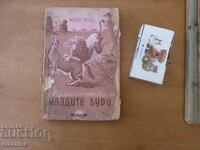 Приключенията на младите бури Майн Рид