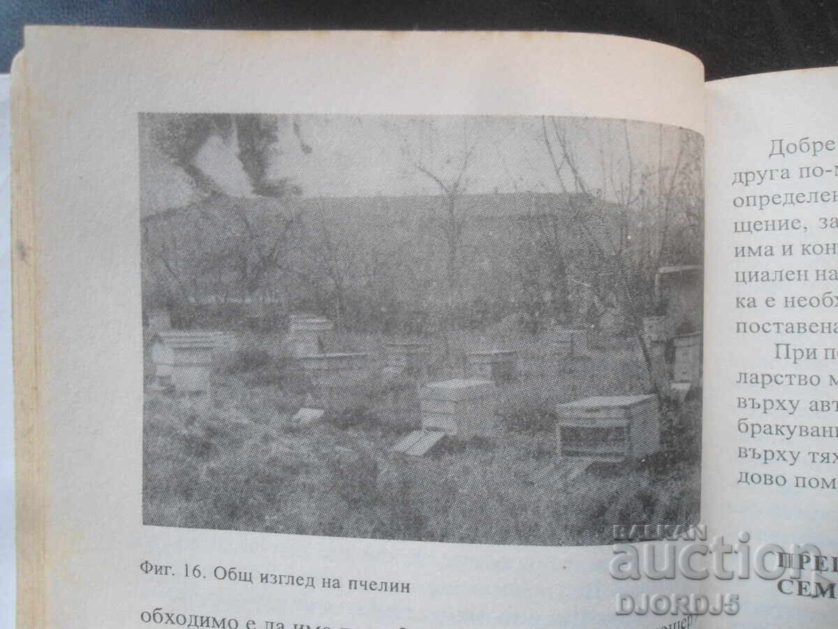 Auction  Beekeeping, Bizho Bizhev