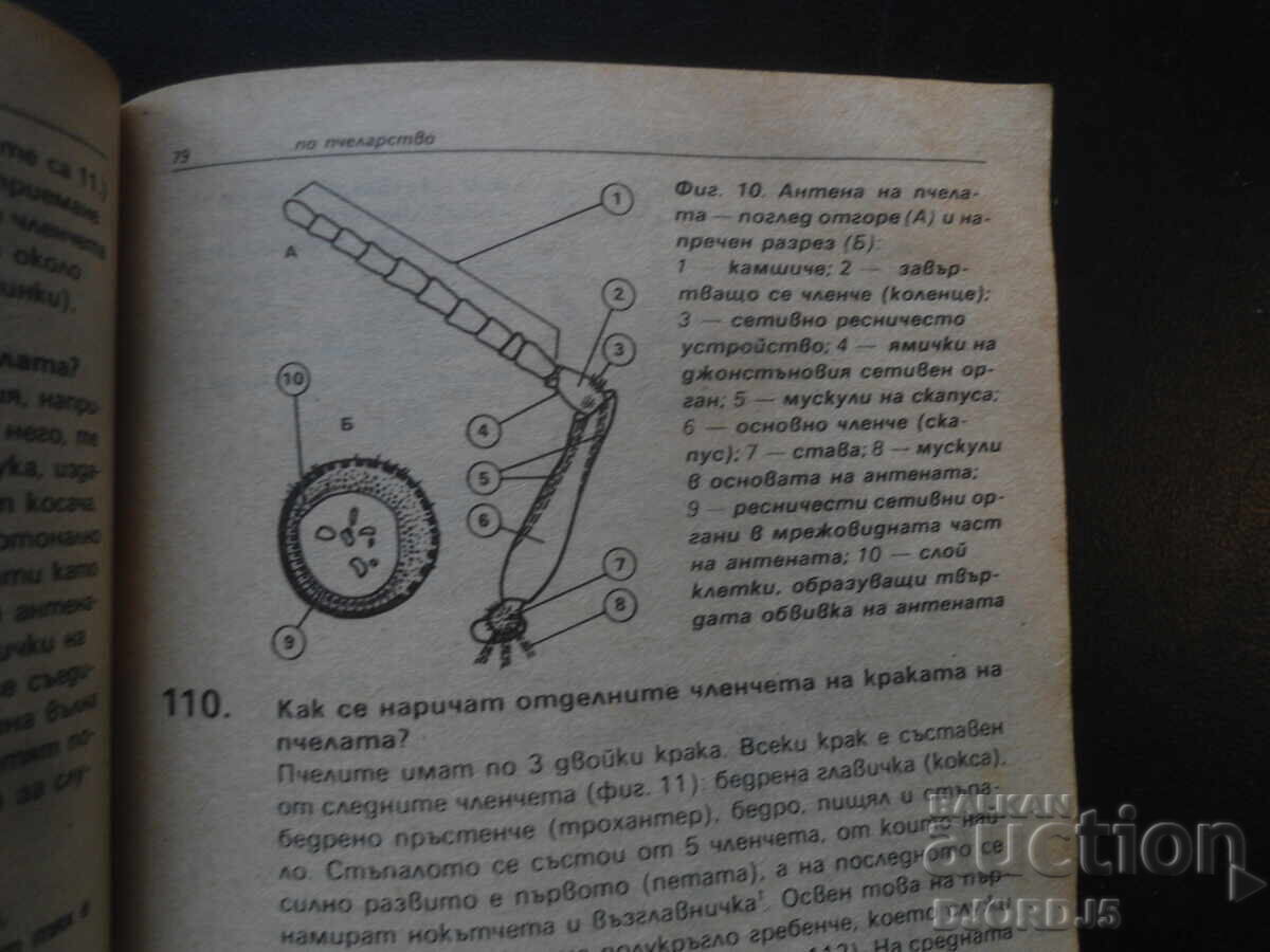 1001 întrebări și răspunsuri despre apicultură, Vojtech Krizan - 5