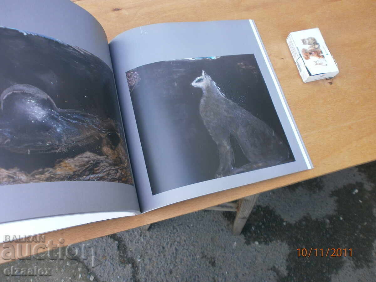 Assa beams - 7 Assa beams - 7