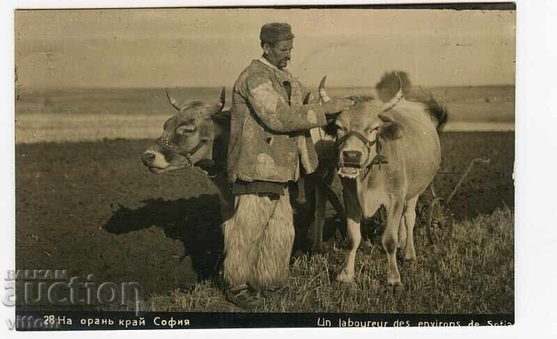 Σόφια όραχ όραν βιτ εθνογραφία καρτίτσα