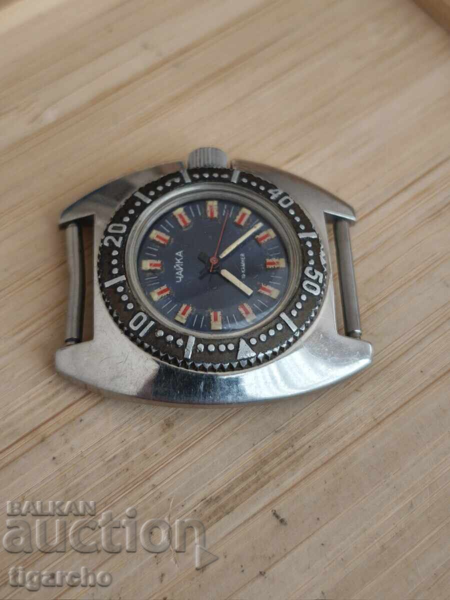 Delivery of Women's Commander Watch Delivery of Women's Commander Watch