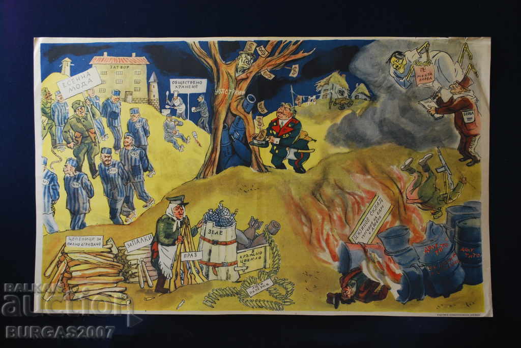 Old magazine "Papagal", color, 1950s - 13