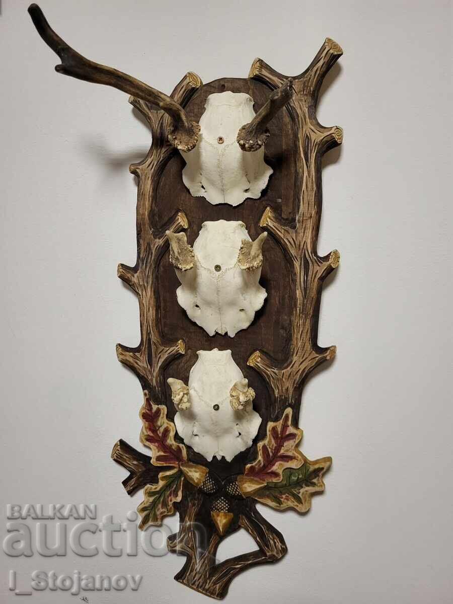 Cerb lopătar Cerb lopătar