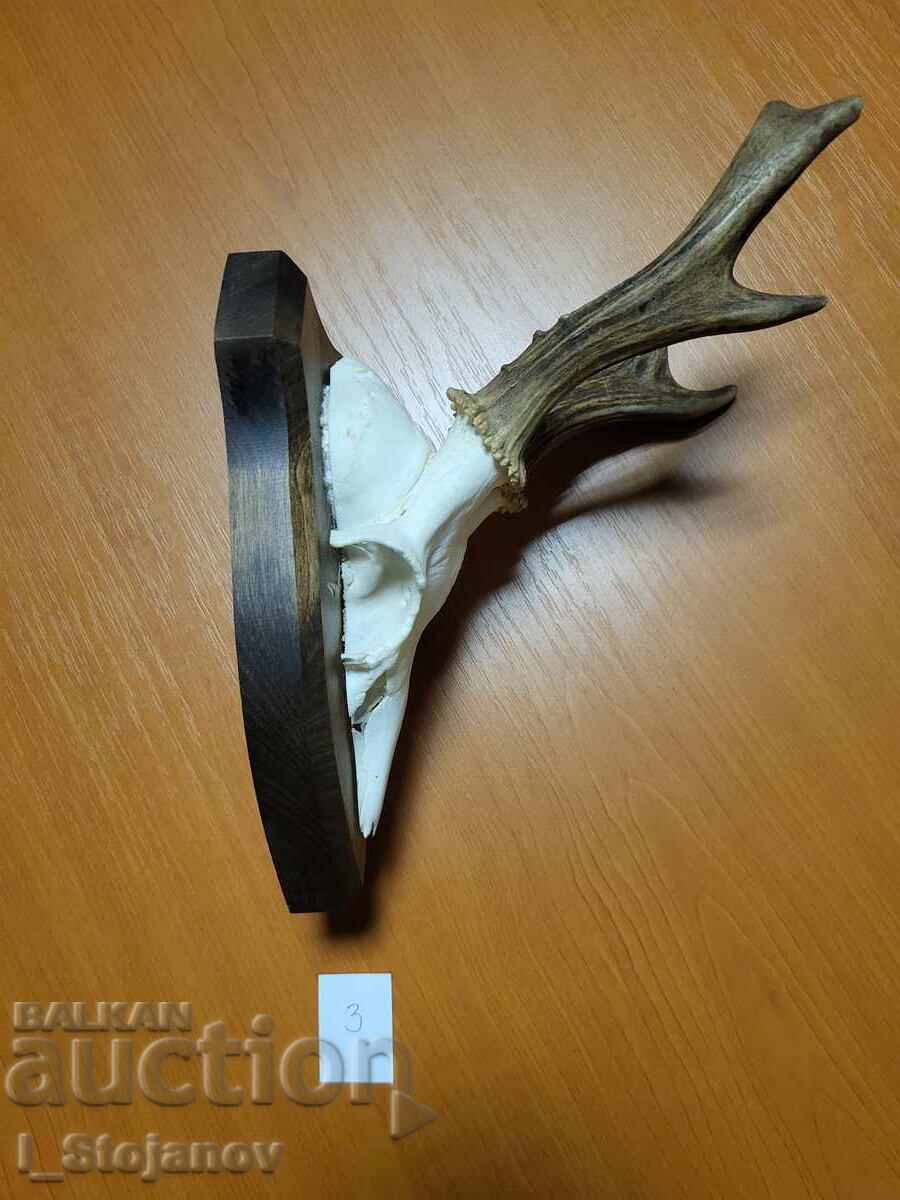 Roe deer with price 87.00 BGN | € 44.48