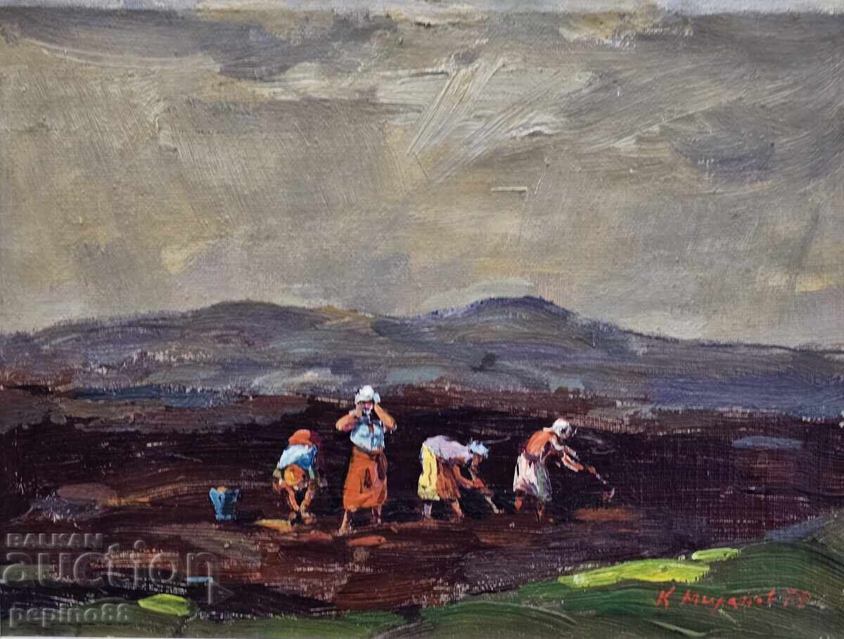 Licitație Kiril Milanov - Pe niveluri