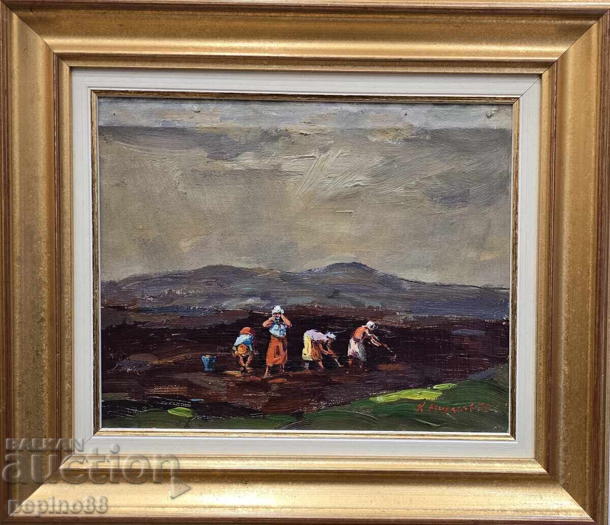 Livrarea Kiril Milanov - Pe niveluri