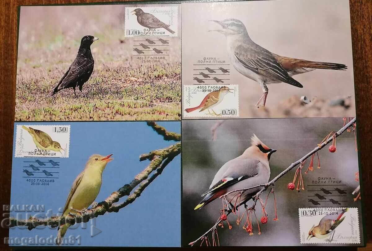 Bulgaria - păsări cântătoare, 2014, cărți maximum